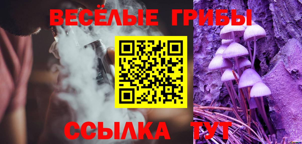 Псилоцибиновые грибы Cubensis Артёмовский